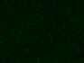Human/Mouse/Rat ILK Antibody MAB4266