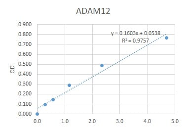 Human ADAM12 Antibody MAB44161