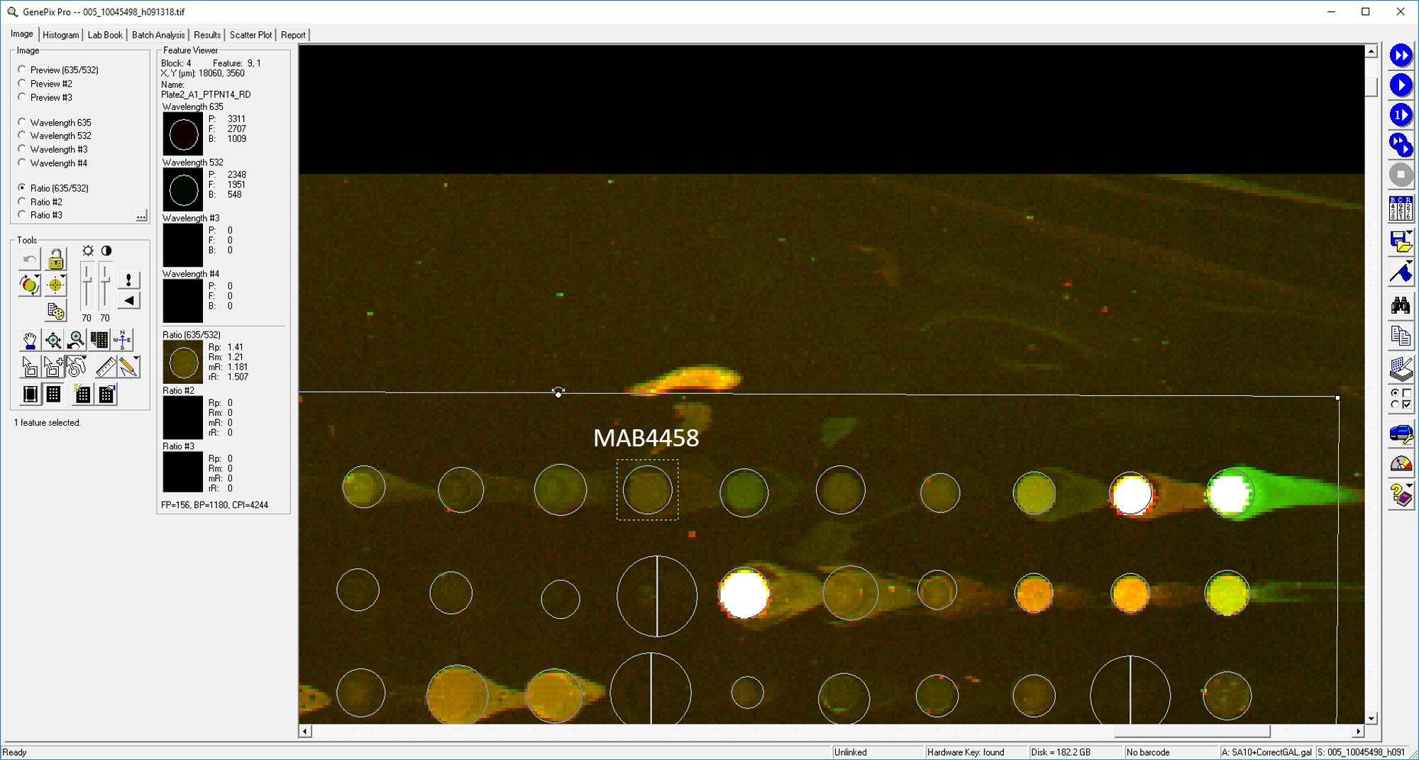 Human PTPN14 Antibody MAB4458