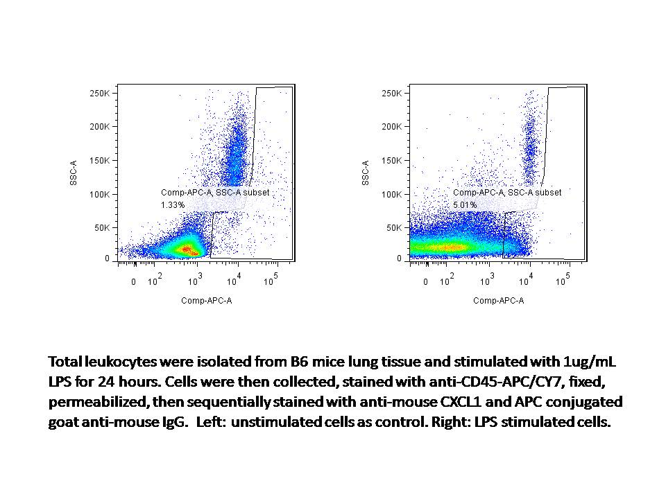 Mouse CXCL1/GRO alpha /KC/CINC‑1 Antibody MAB4532
