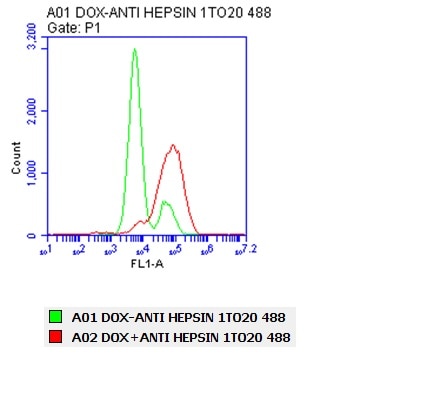 Human Hepsin Antibody MAB4776