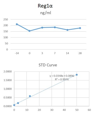 Human Reg1A/B Antibody MAB49371