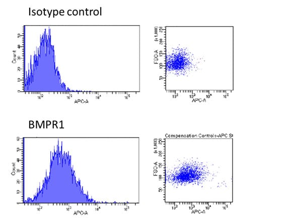 Human BMPR‑IB/ALK‑6 Antibody MAB5051