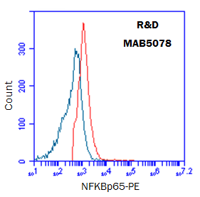 Human/Mouse/Rat RelA/NF kappa B p65 Antibody MAB5078
