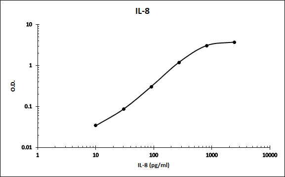 Porcine IL-8/CXCL8 Antibody MAB5351