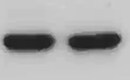 Human T‑bet/TBX21 Antibody MAB5385