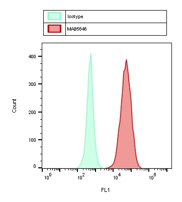 Human FOLR1 Antibody MAB5646