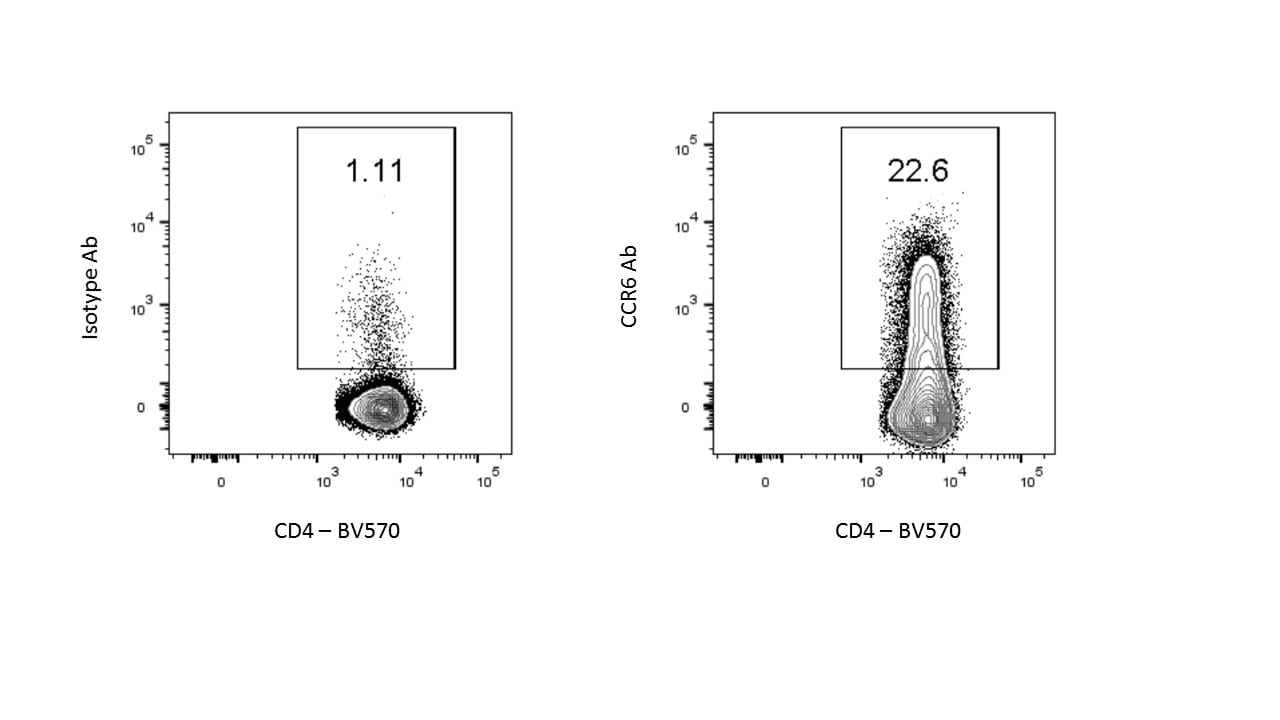 Mouse CCR6 Antibody MAB590