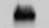 Human TTK Antibody MAB6028