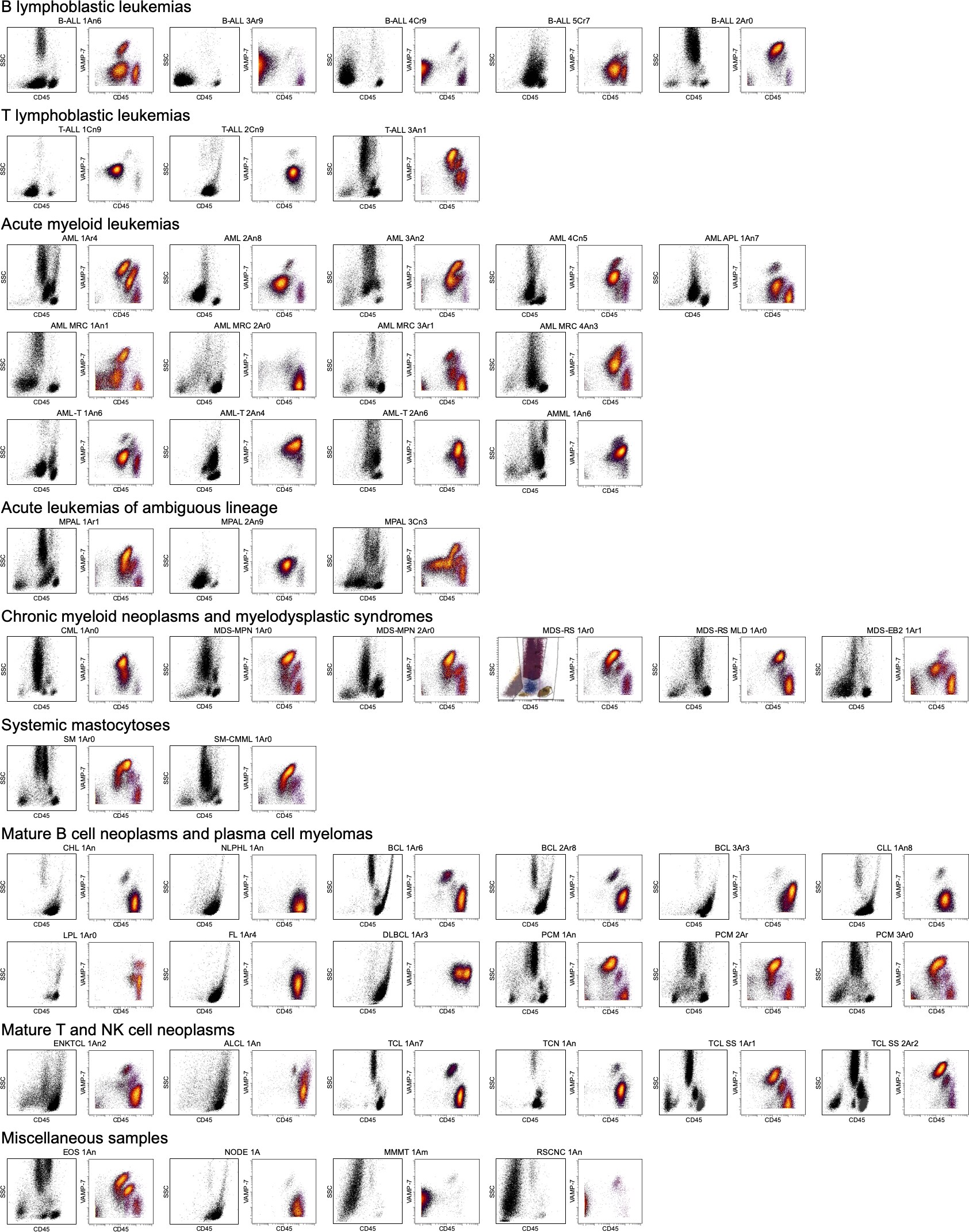 Human VAMP‑7 Antibody MAB6117