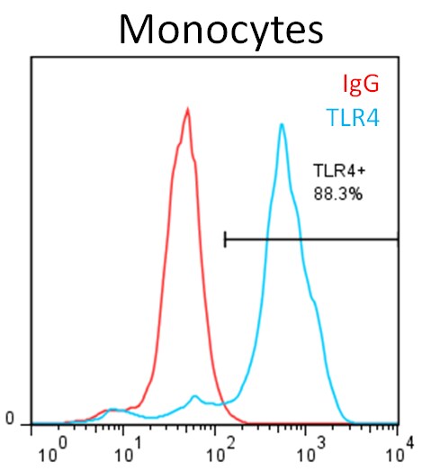 Human TLR4 Antibody MAB6248