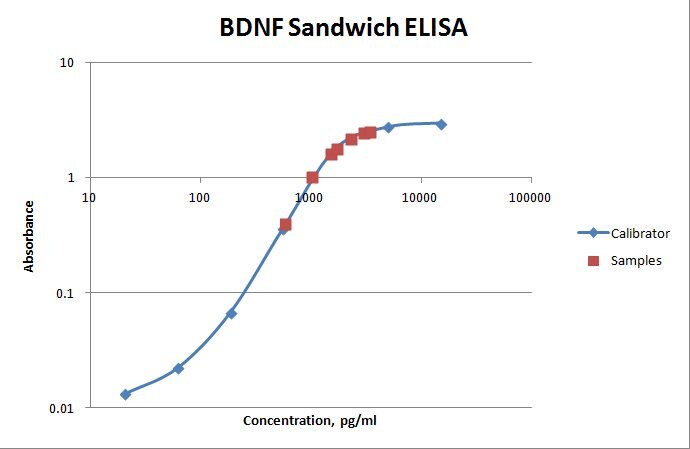 Human BDNF Antibody MAB648
