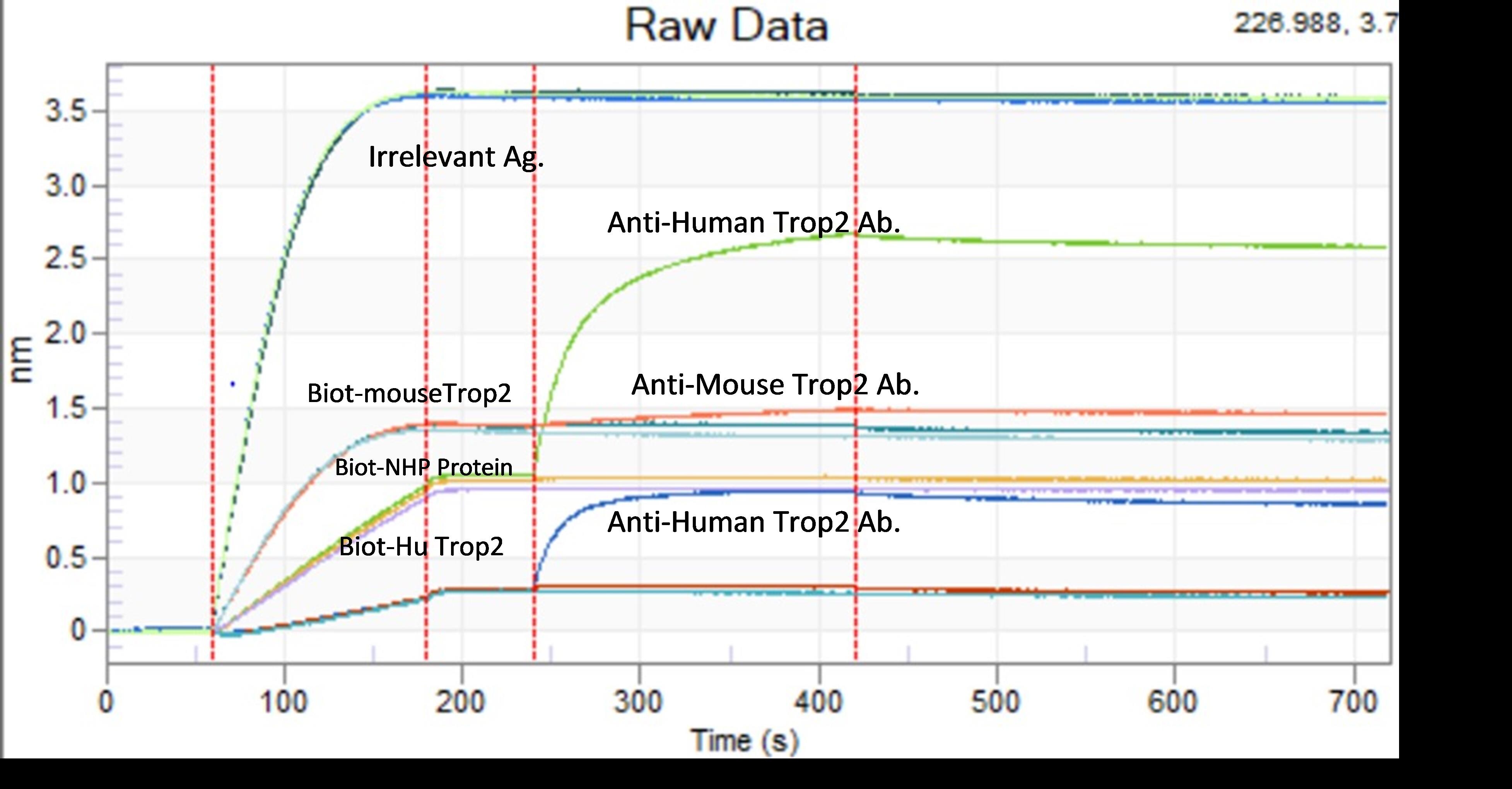 Human TROP‑2 Antibody MAB650