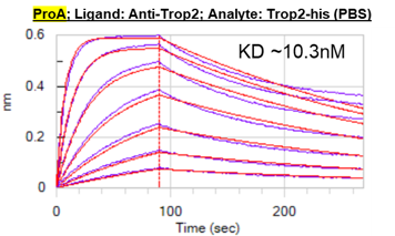 Human TROP‑2 Antibody MAB650