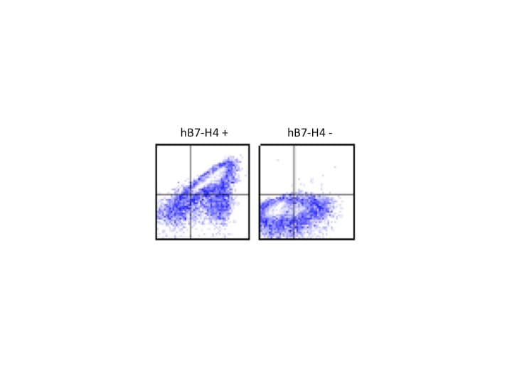 Human B7‑H4 Antibody MAB6576