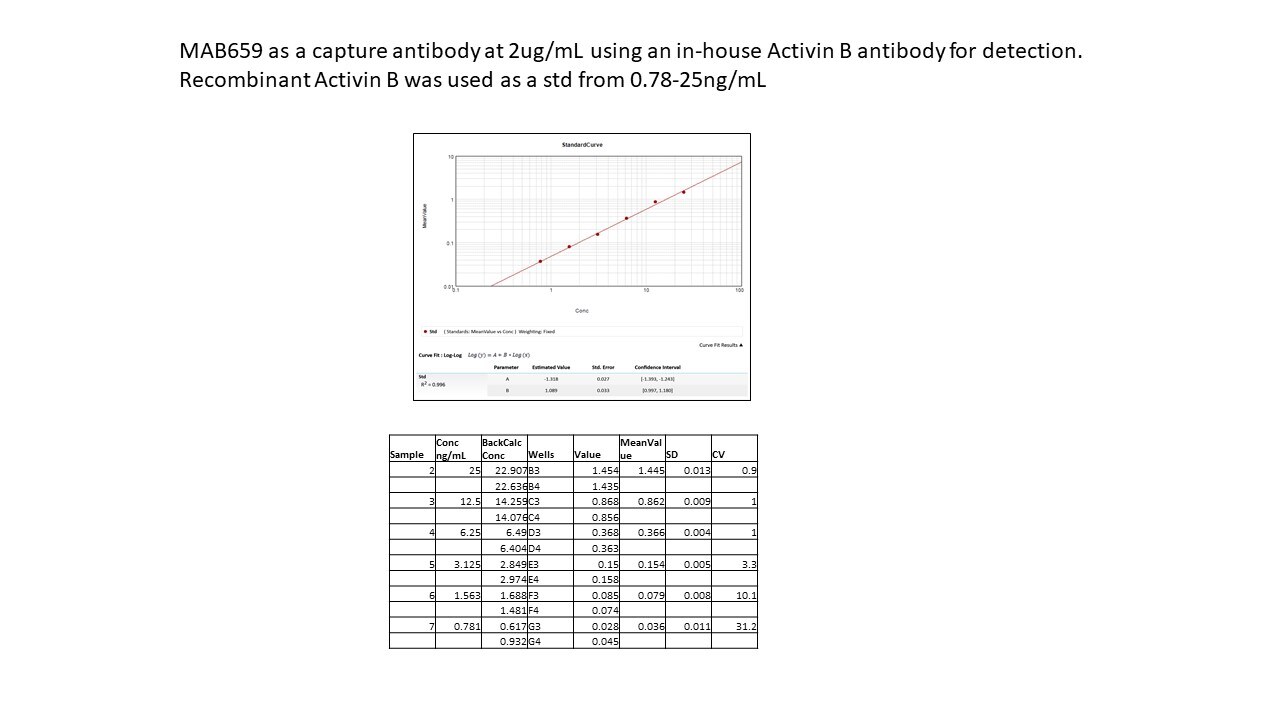 Human Activin B MAb (Clone 146807) MAB659