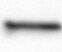 Mouse OSMR beta Antibody MAB662