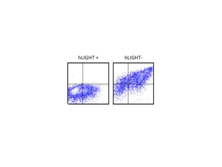 Human LIGHT/TNFSF14 Antibody MAB664