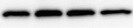 Human DNAM-1/CD226 Antibody MAB666