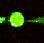 Human CD160 Antibody MAB6700