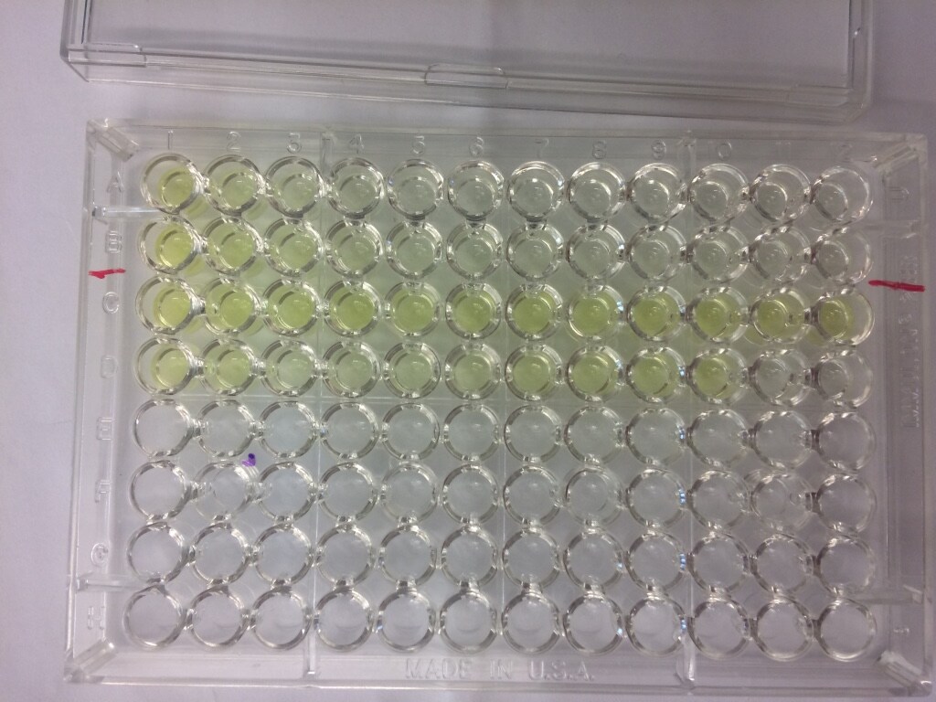 Porcine IL‑1 beta /IL‑1F2 Antibody MAB6811