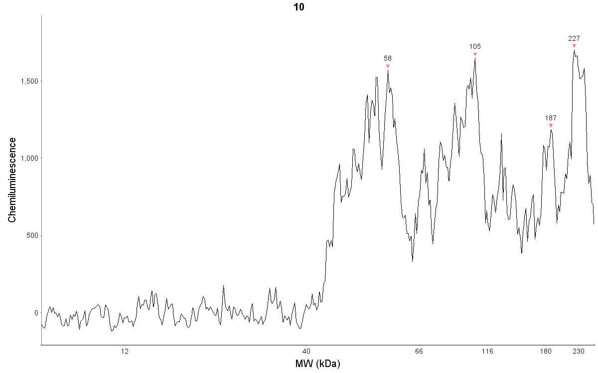 Human Phospho-CREB (S133) Antibody MAB6906R
