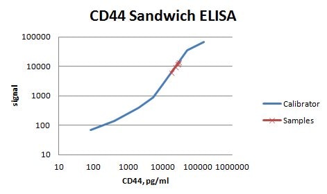 Human CD44s Pan Specific Antibody MAB7045