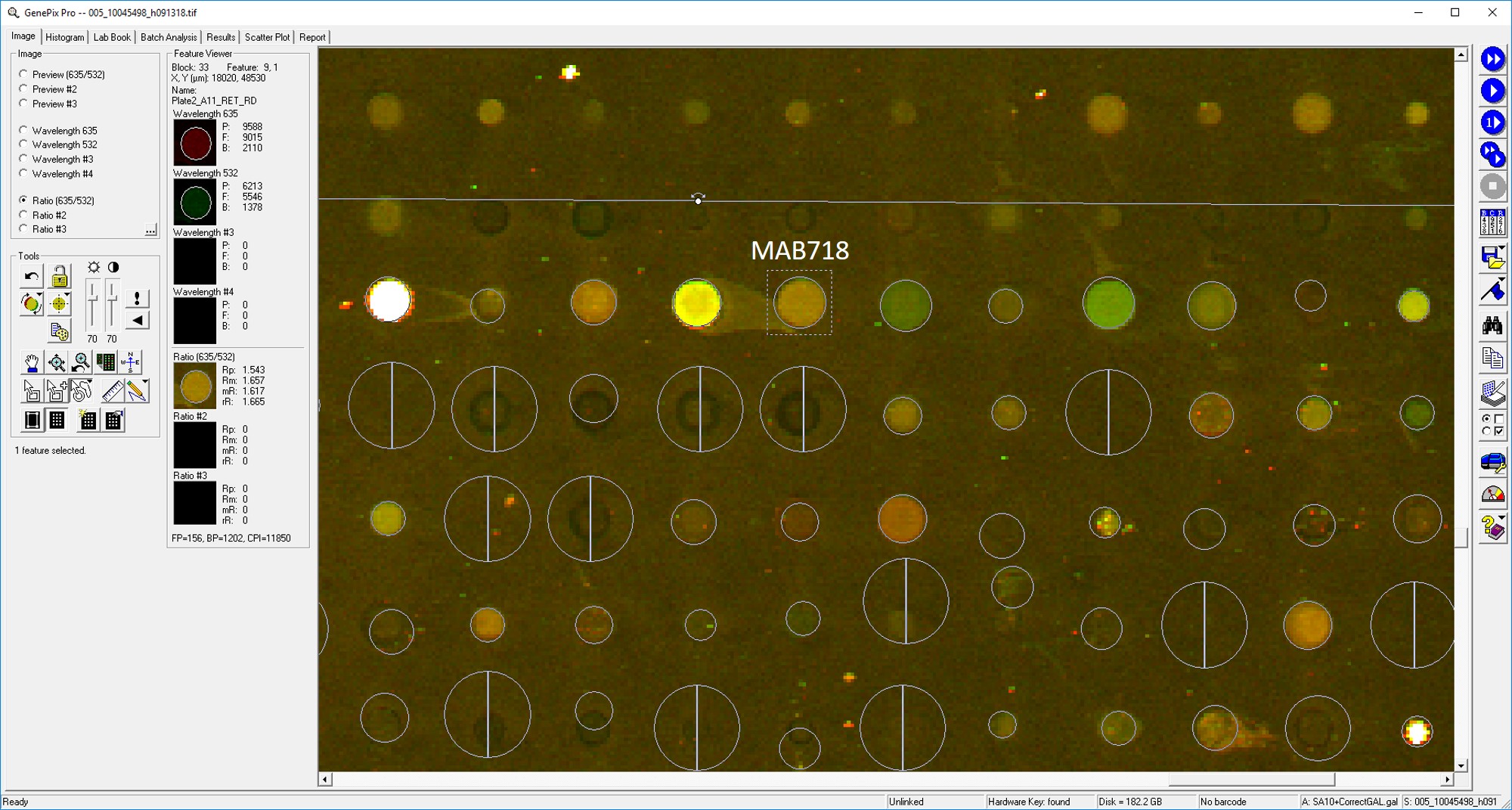 Human Ret Antibody MAB718