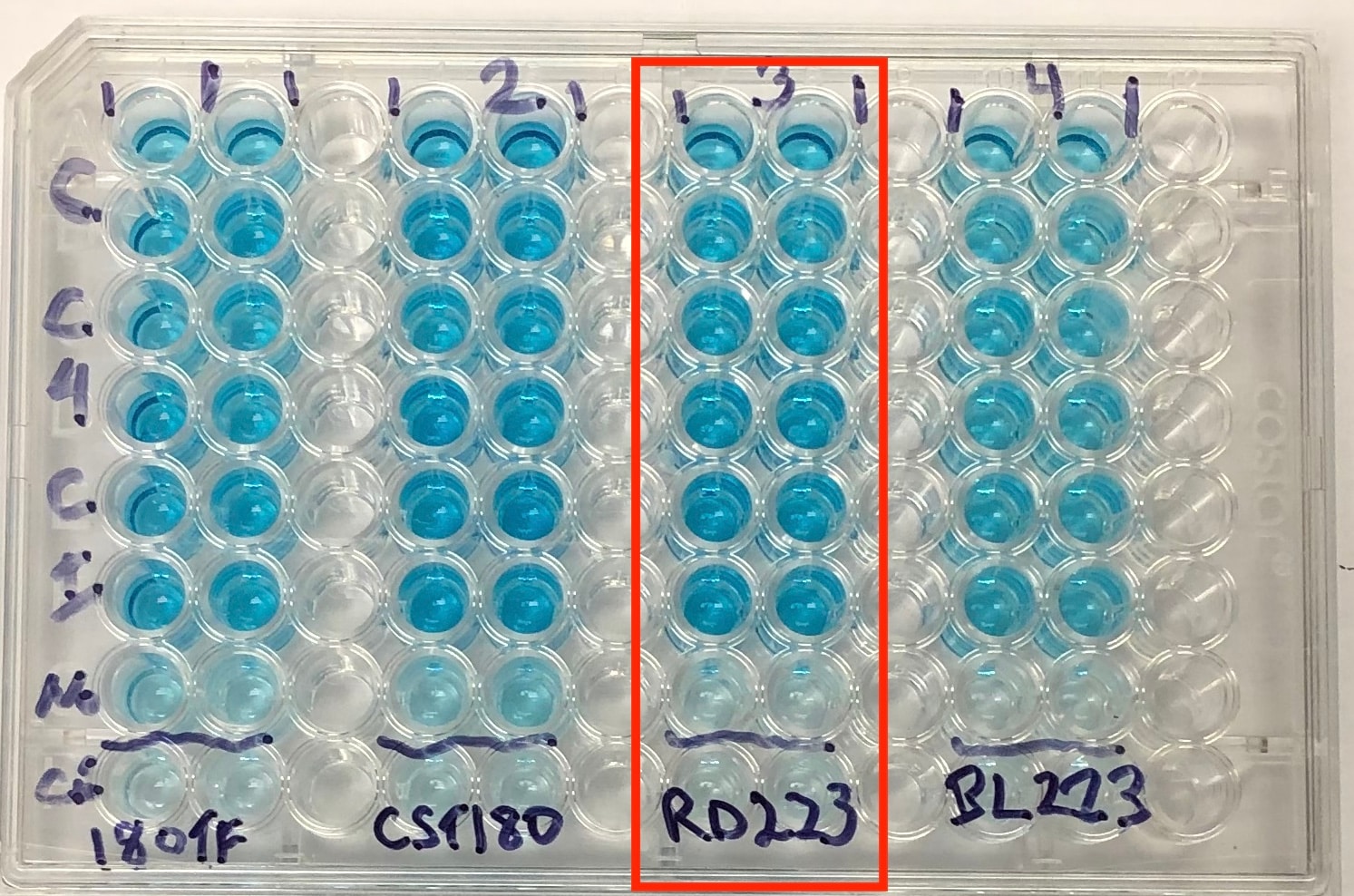 Human Phospho-BTK (Y223) Antibody MAB7205