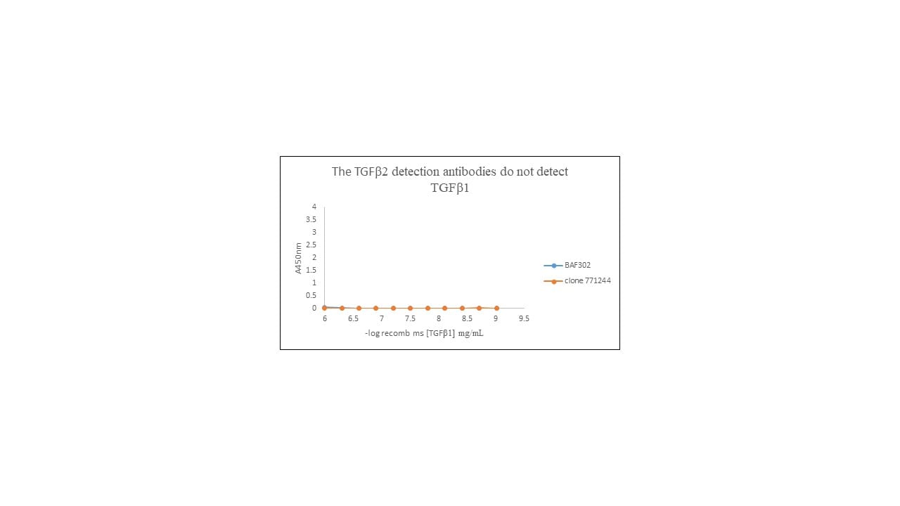Mouse TGF‑ beta 2 Antibody MAB73461