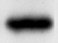 Mouse CCL20/MIP‑3 alpha  Antibody MAB760