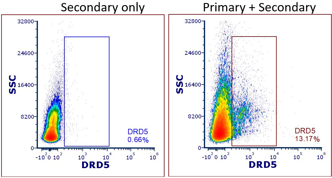 Human Dopamine D5R/DRD5 Antibody MAB82861