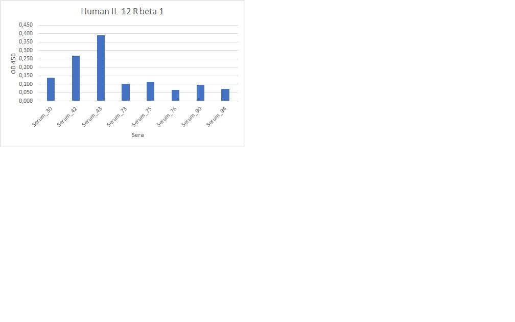 Human IL‑12 R beta 1 Antibody MAB839