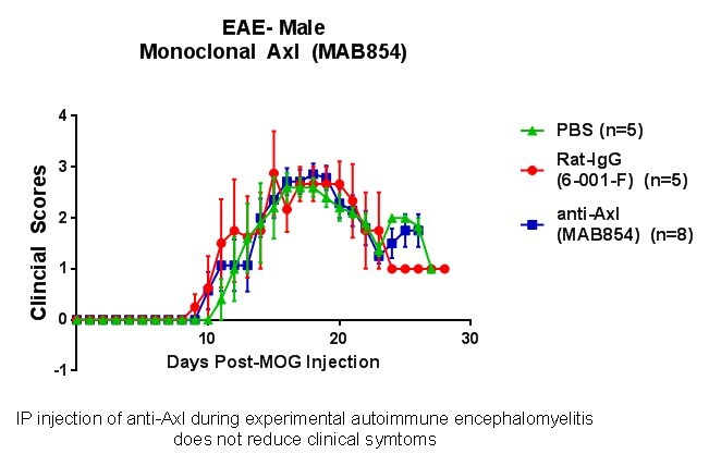 Mouse Axl Antibody MAB854
