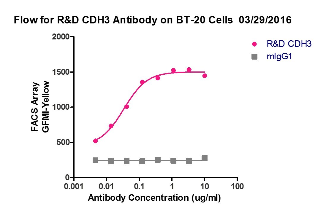 Human P‑Cadherin Antibody MAB861