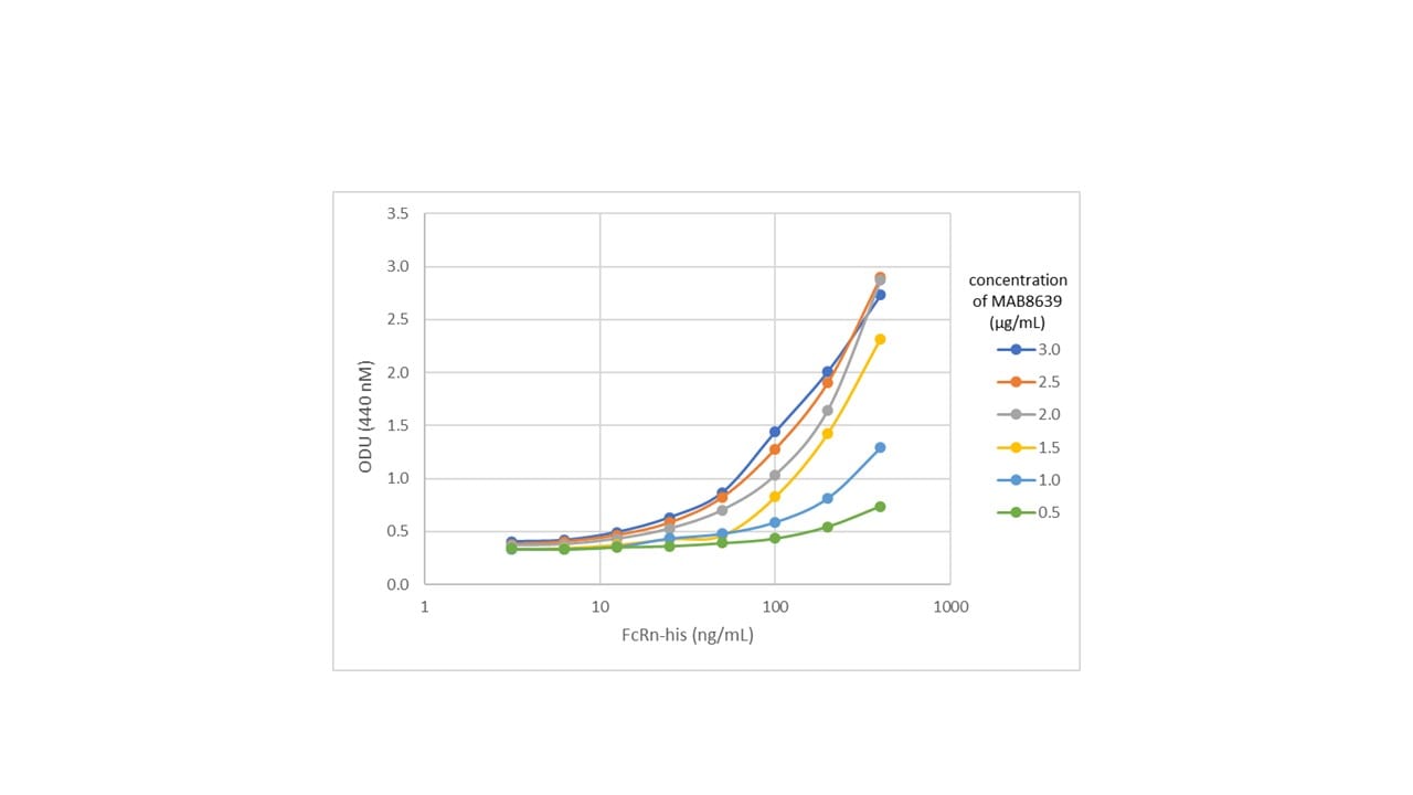 Human FCRN Antibody MAB8639