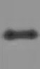 Human/Mouse/Rat p38 alpha  Antibody MAB869