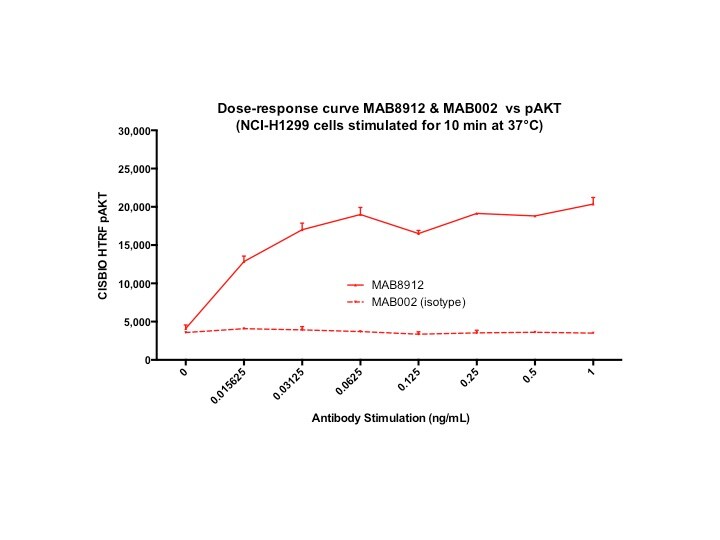 Human Mer Antibody MAB8912