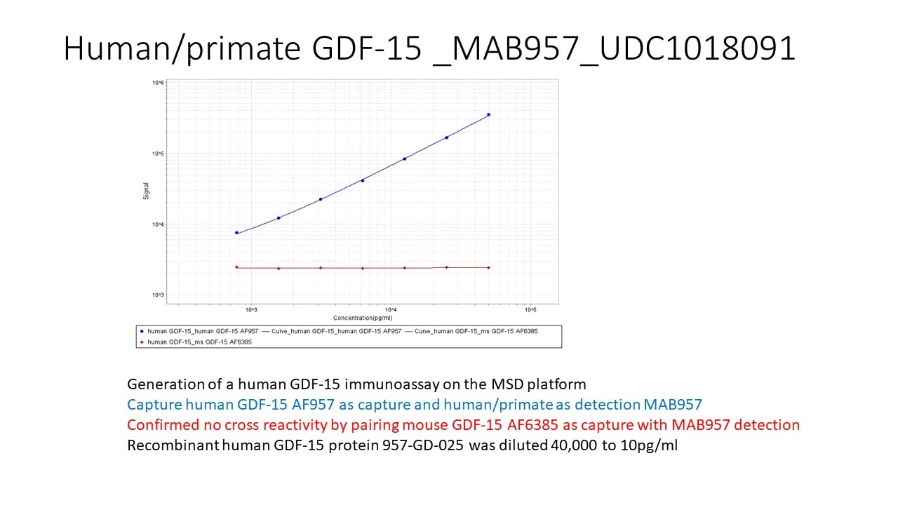 Human/Primate GDF‑15 Antibody MAB957