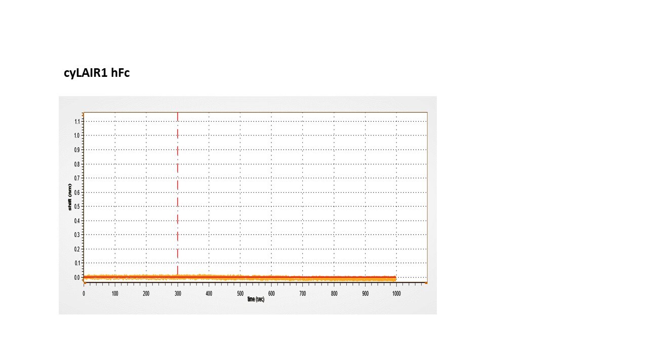 Human ErbB2/Her2 (Research Grade Trastuzumab Biosimilar) Antibody MAB9589