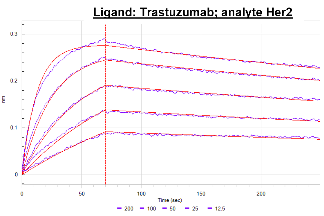 Human ErbB2/Her2 (Research Grade Trastuzumab Biosimilar) Antibody MAB9589