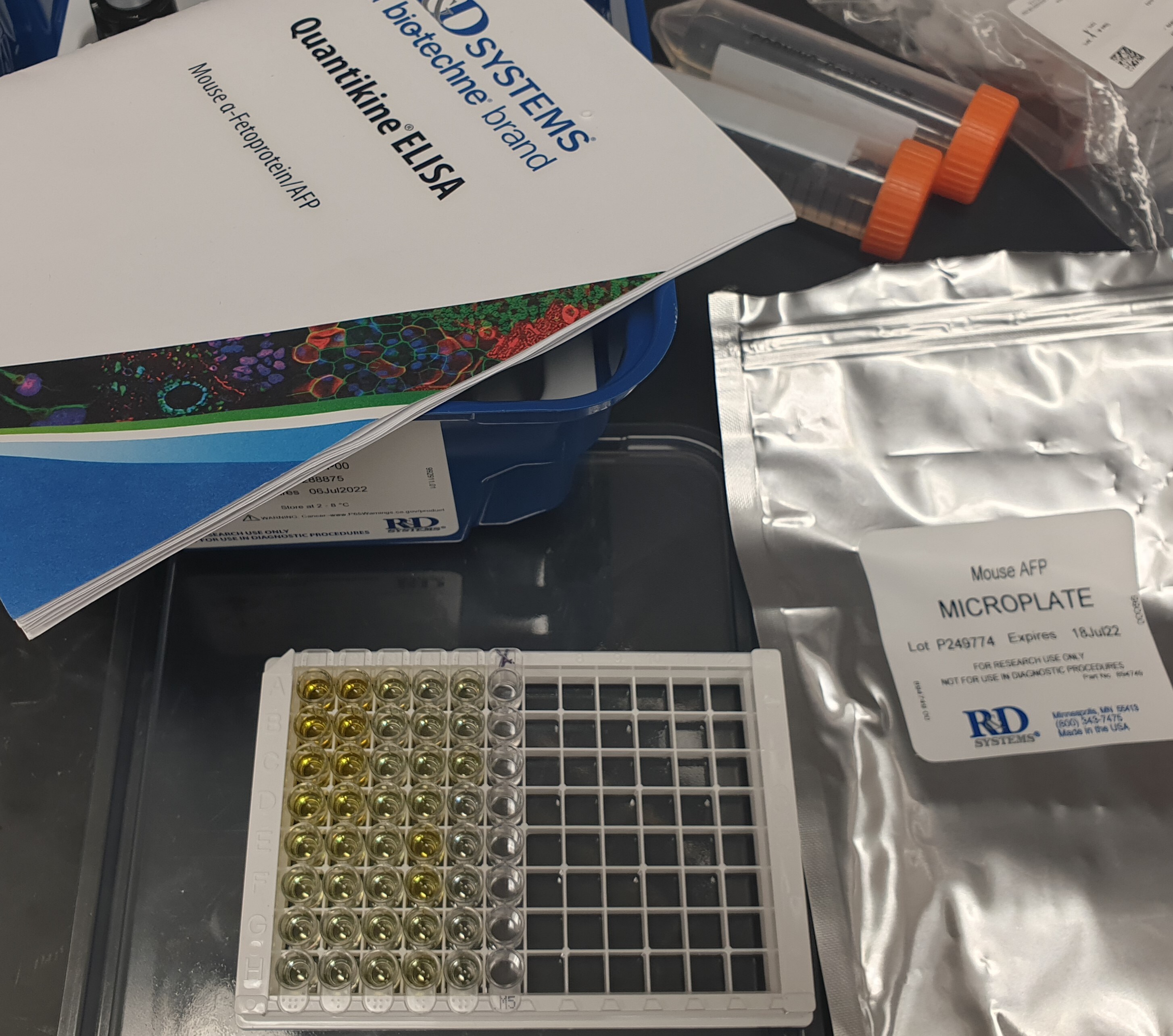 Mouse alpha-Fetoprotein/AFP Quantikine ELISA Kit MAFP00