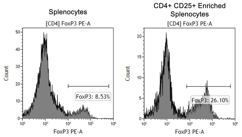 MagCellect Mouse CD4+ CD25+ Regulatory T Cell Isolation Kit MAGM208