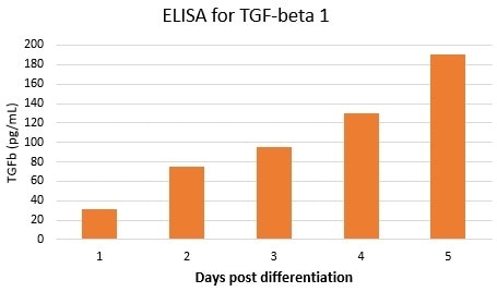 Mouse/Rat/Porcine/Canine TGF-beta 1 Quantikine ELISA Kit MB100B