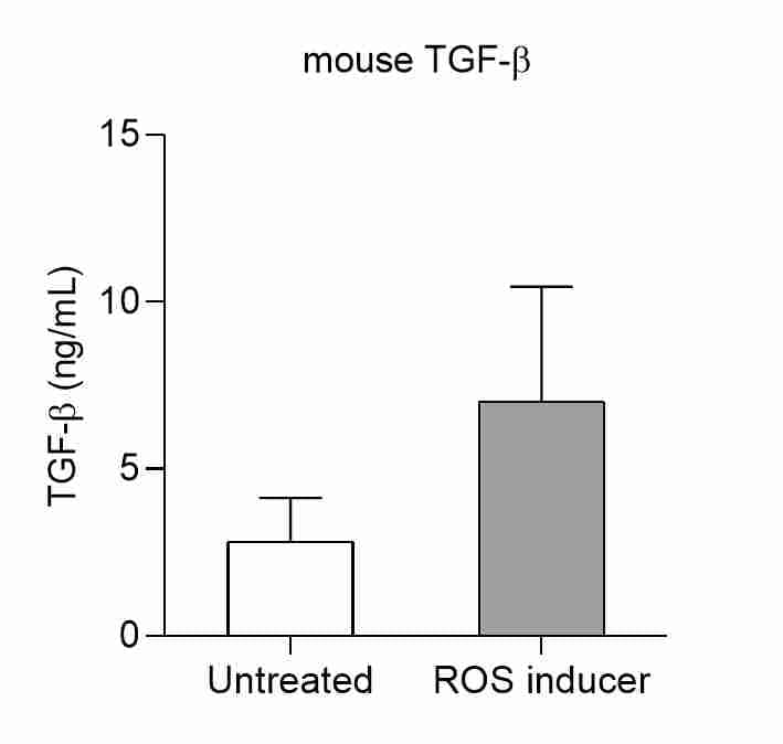 Mouse/Rat/Porcine/Canine TGF-beta 1 Quantikine ELISA Kit MB100B