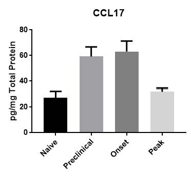 Mouse CCL17/TARC Quantikine ELISA Kit MCC170