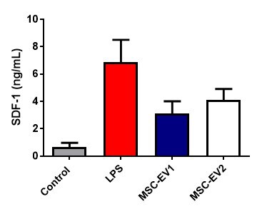 Mouse CXCL12/SDF-1 alpha Quantikine ELISA Kit MCX120