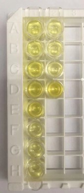 Mouse EGF Quantikine ELISA Kit MEG00