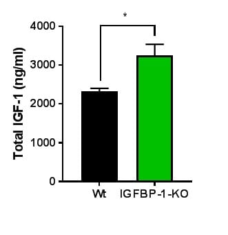 Mouse/Rat IGF-I/IGF-1 Quantikine ELISA Kit MG100