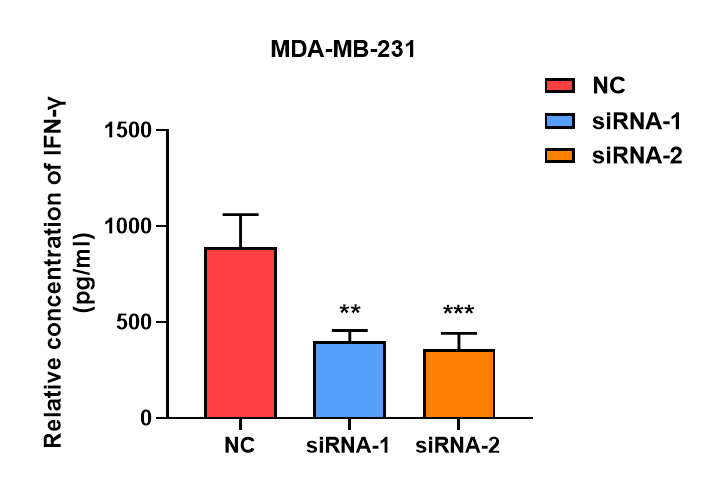 Mouse IFN-gamma Quantikine ELISA Kit MIF00